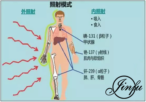 外照射、内照射